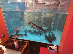 -海岛八号龙虾烧烤田鸡(蓝天路总店)