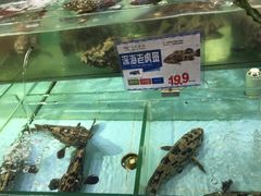 -渔民新村(番禺总店)