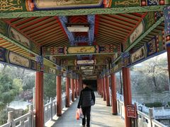 景点-西安大兴汤院遗址公园