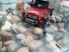 -奔驰利星行(北京花乡店)