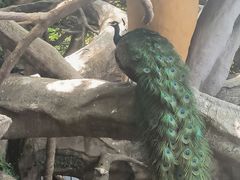 -长鹿旅游休博园