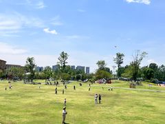 -府河摄影公园