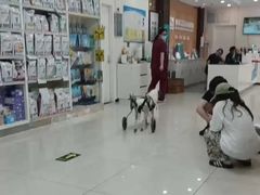 -美联众合动物医院·24h京西诊疗中心