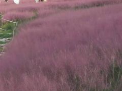 -邛海景风火盆烧烤(大石板古村二分店)