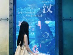 -海合安武汉极地海洋公园