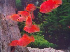 -常州海昌海洋探索馆