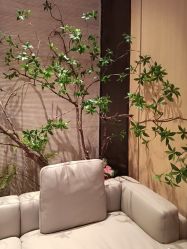 点击看大图 -恒美雅轩·品牌直营连锁
