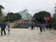 -南山植物园