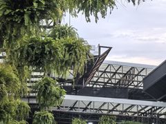 -东芭乐园