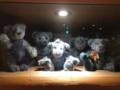 -济州岛泰迪熊博物馆