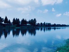 -羊亭河湿地公园