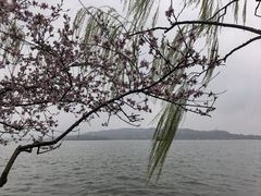 -西湖天地