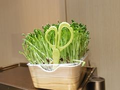 -海底捞火锅(奥森店)