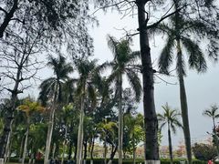 -厦门大学(思明校区)