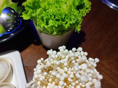 -东海怡品海鲜豆捞(星街坊店)
