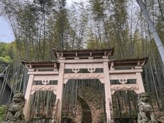 -午潮山国家森林公园