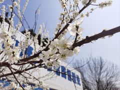 -山海广场