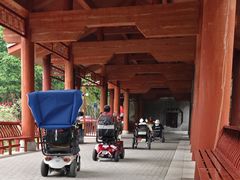 -重庆彩云湖湿地公园