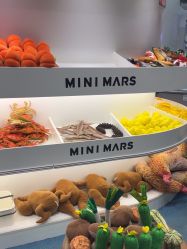 -MINI MARS KIDS CLUB亲子家庭中心(长宁天山店)