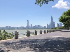 -深圳湾公园(南山区)