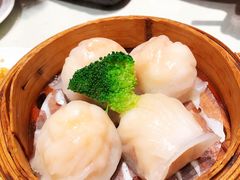 -南枝记