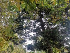 -国家植物园南园