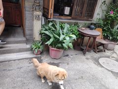 -同福社