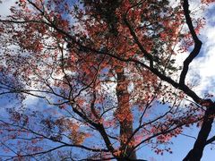 -维乐口腔医院(福清院)