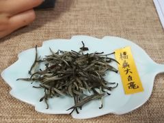 -养心斋涵信茶艺茶道培训
