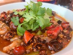 -辛香汇(飞洲店)