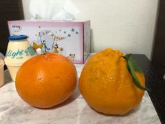 -西归浦每天偶来市场