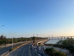 -宝安西湾红树林湿地公园