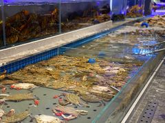 -一方渔歌蒸汽海鲜自助(文化路万达广场店)