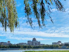 -莲花池公园