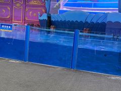 -横店影视城梦幻谷园区