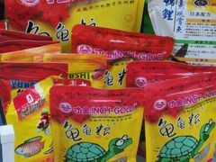 -曲阳花鸟市场(曲阳路店)