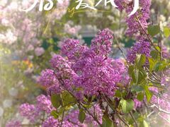 -太阳宫足球俱乐部