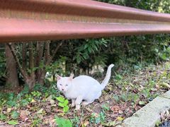 -宝界山林公园