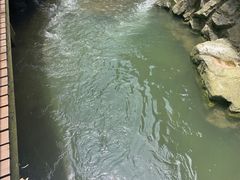 -将军关探险漂流