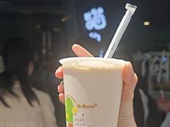 -猫的魔法密林(衣裳街店)