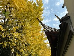 -西园戒幢律寺