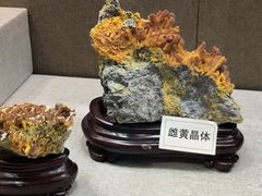 -北京中医药大学-中医药博物馆