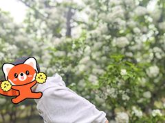 -阳澄湖半岛旅游度假区