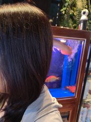 -T.1 hair salon烫染接发