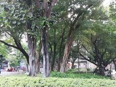-兆祥公园
