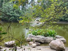 -水濂山森林公园