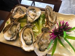 生蚝-禧鳳記·猪肚鸡火锅(玖洲道店)