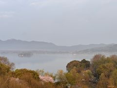 -索菲特西湖大酒店·香榭丽全日候餐厅(南山路店)