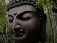 -杭州植物园