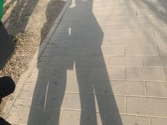 -五环公园
